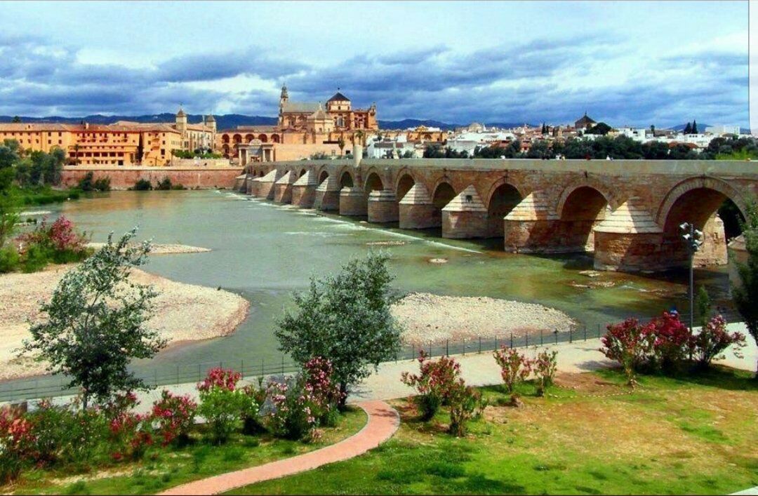 لمحات تاريخية tweet media