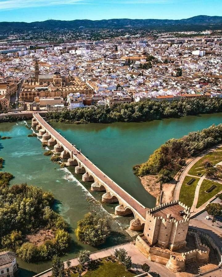 لمحات تاريخية tweet media