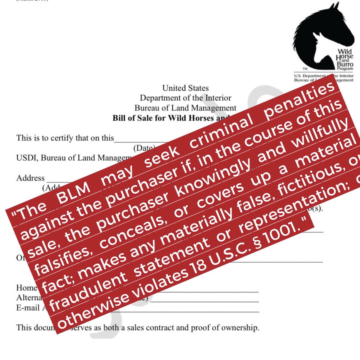 Skydog Sanctuary tweet media