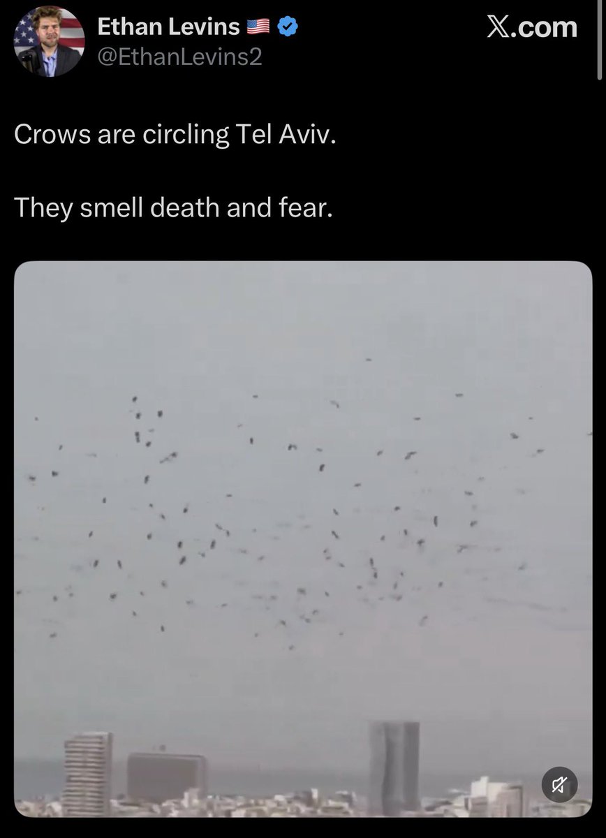 Jonathan Elkhoury- جوناثان الخوري tweet media