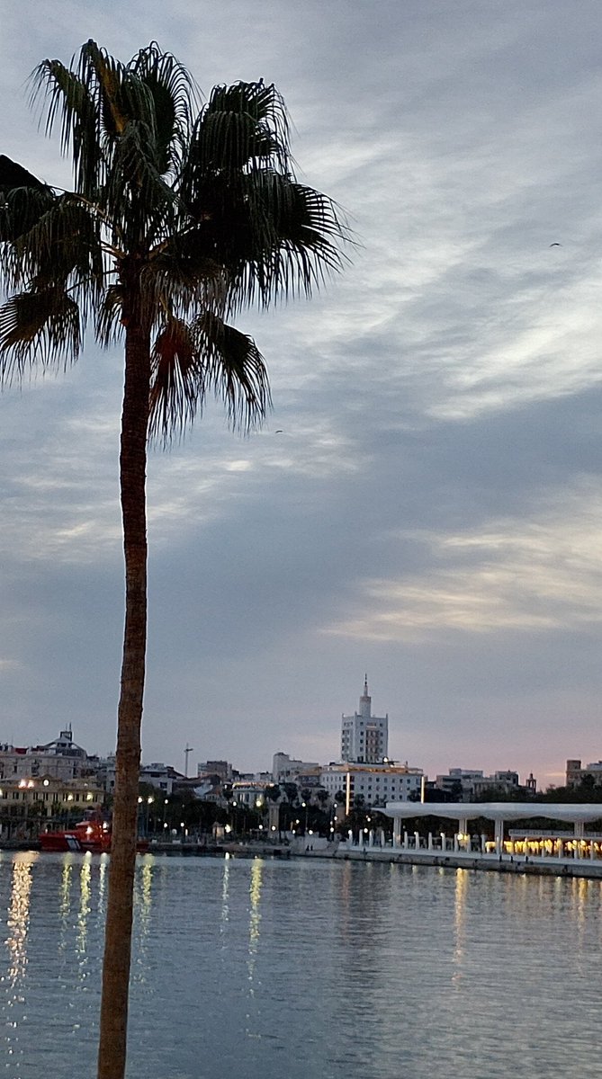 El buscador de amaneceres. tweet media