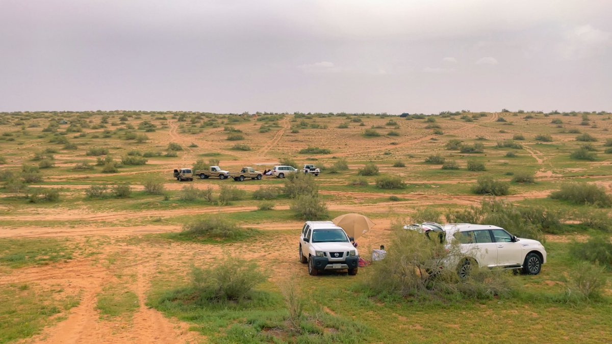 عماد الوهيبي tweet media