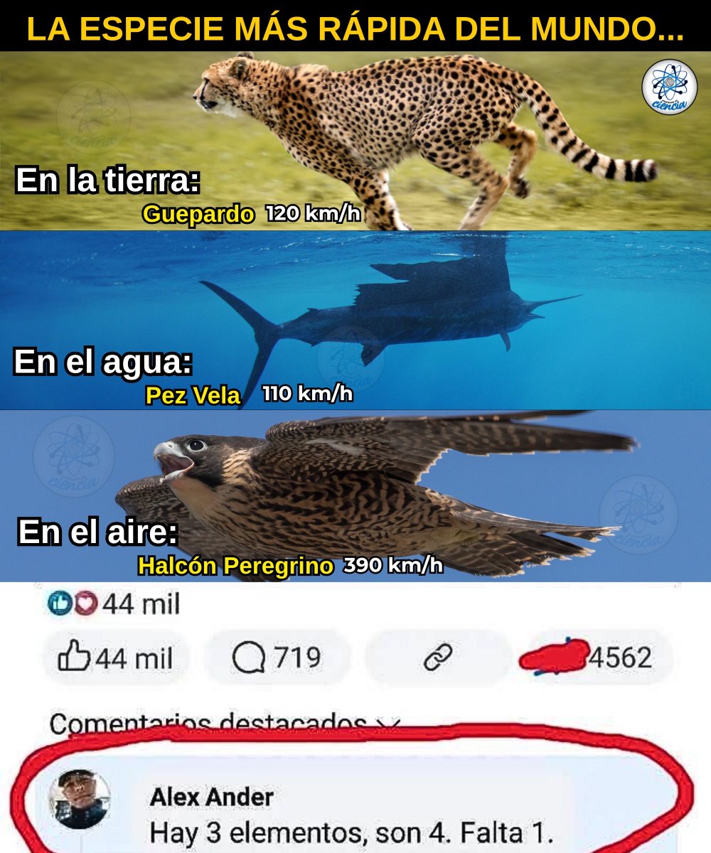 Enséñame de Ciencia tweet media