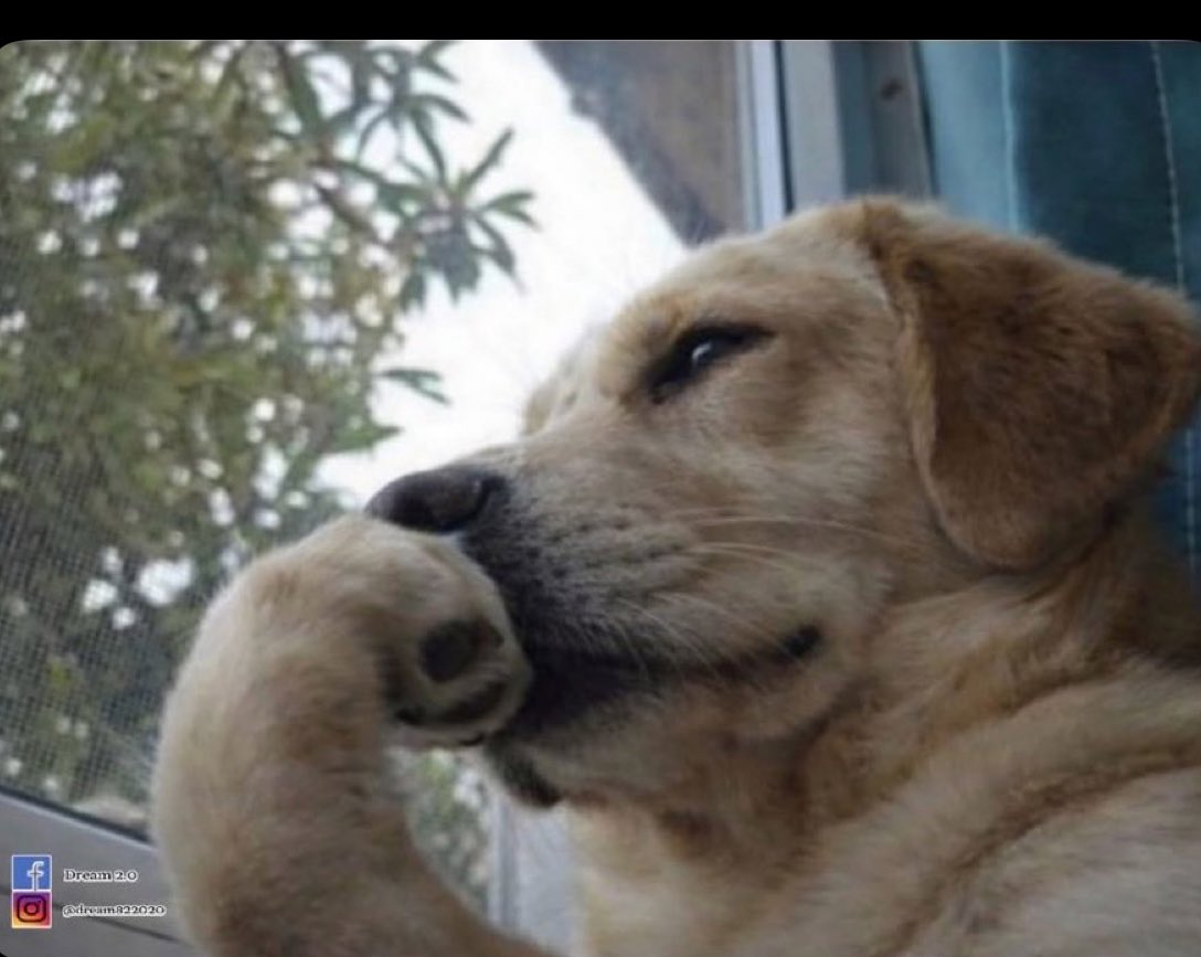 Rossie🦋✨ tweet media