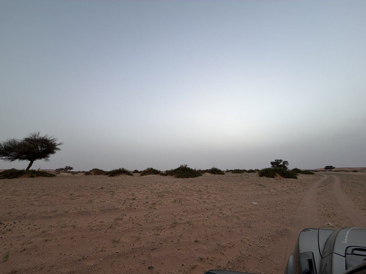 بندرْ tweet media