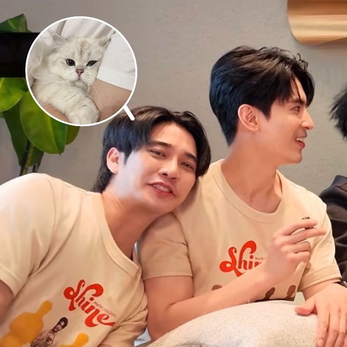 เมี้ยวยุ tweet media