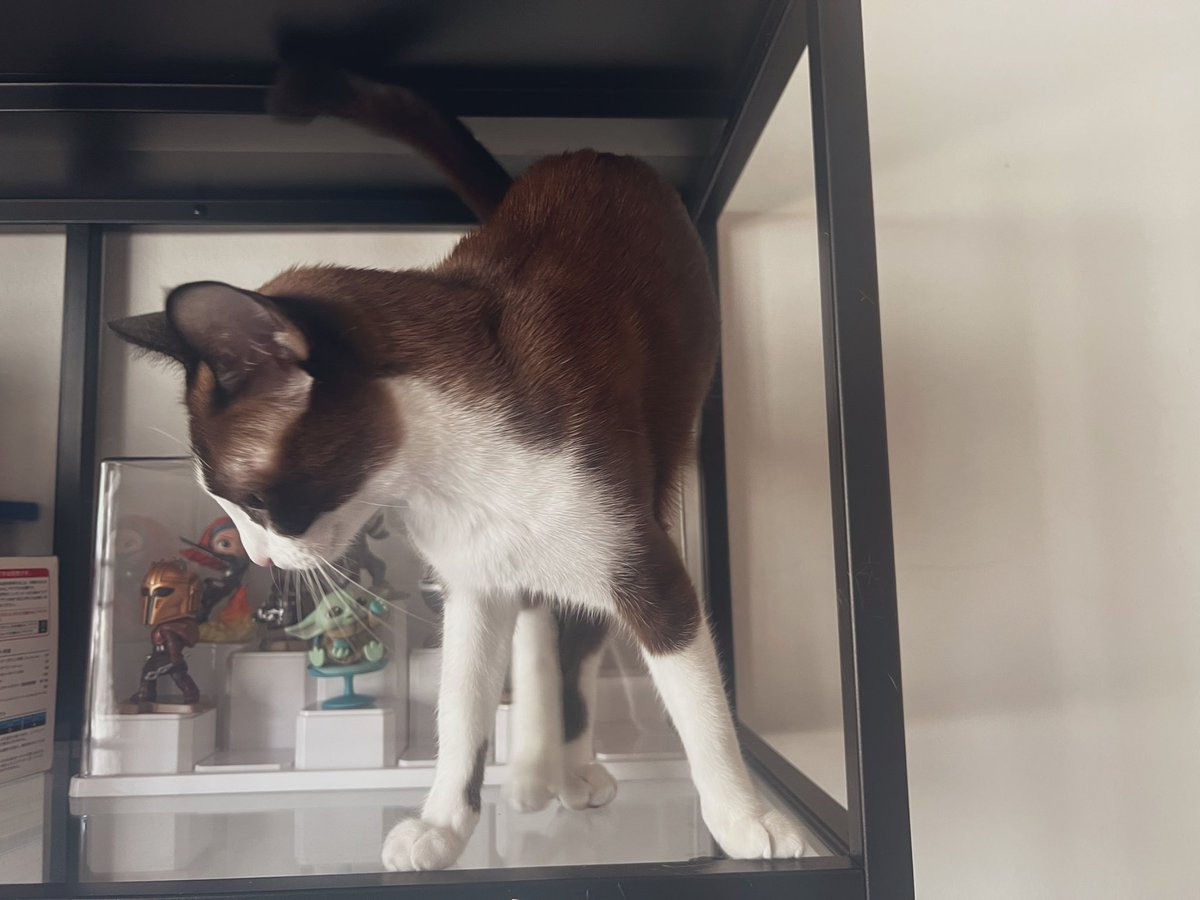 deeji || Commission | Open tweet media