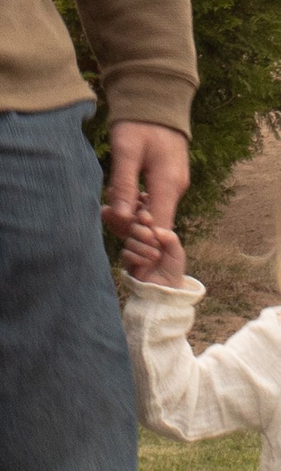 mosquitinho tweet media