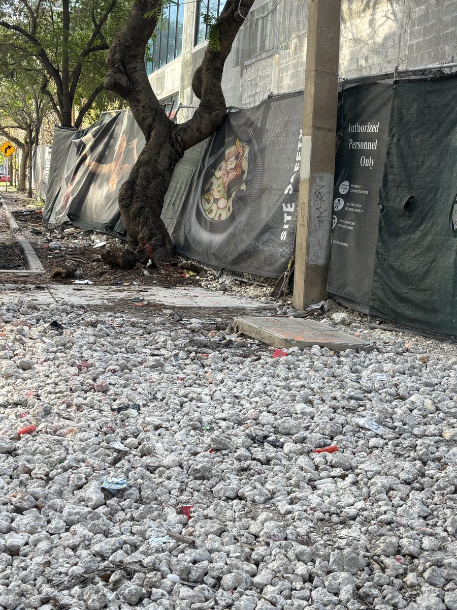 Maria Alesia Sosa tweet media