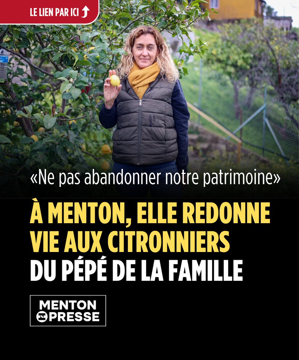 Menton-Presse · Top infos tweet media