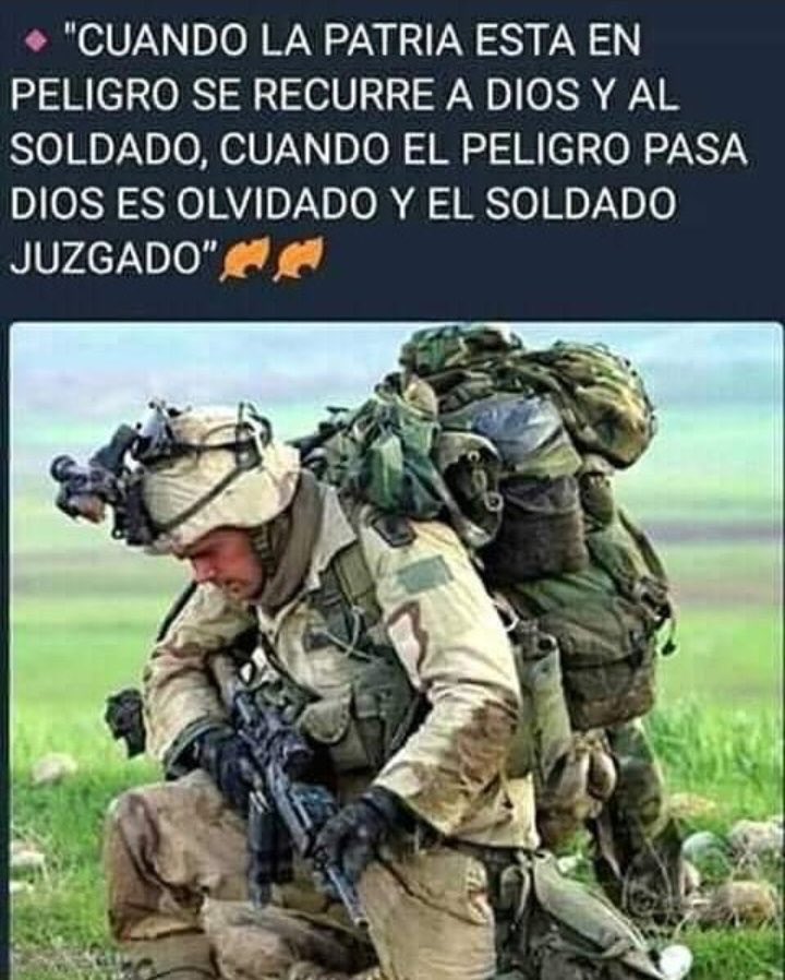 Daniel Stella tweet media