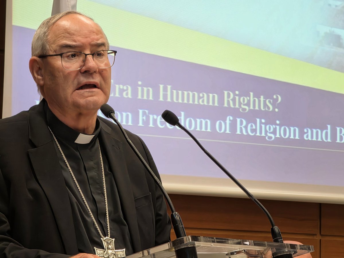 ✙ Francisco Cerro Chaves tweet media