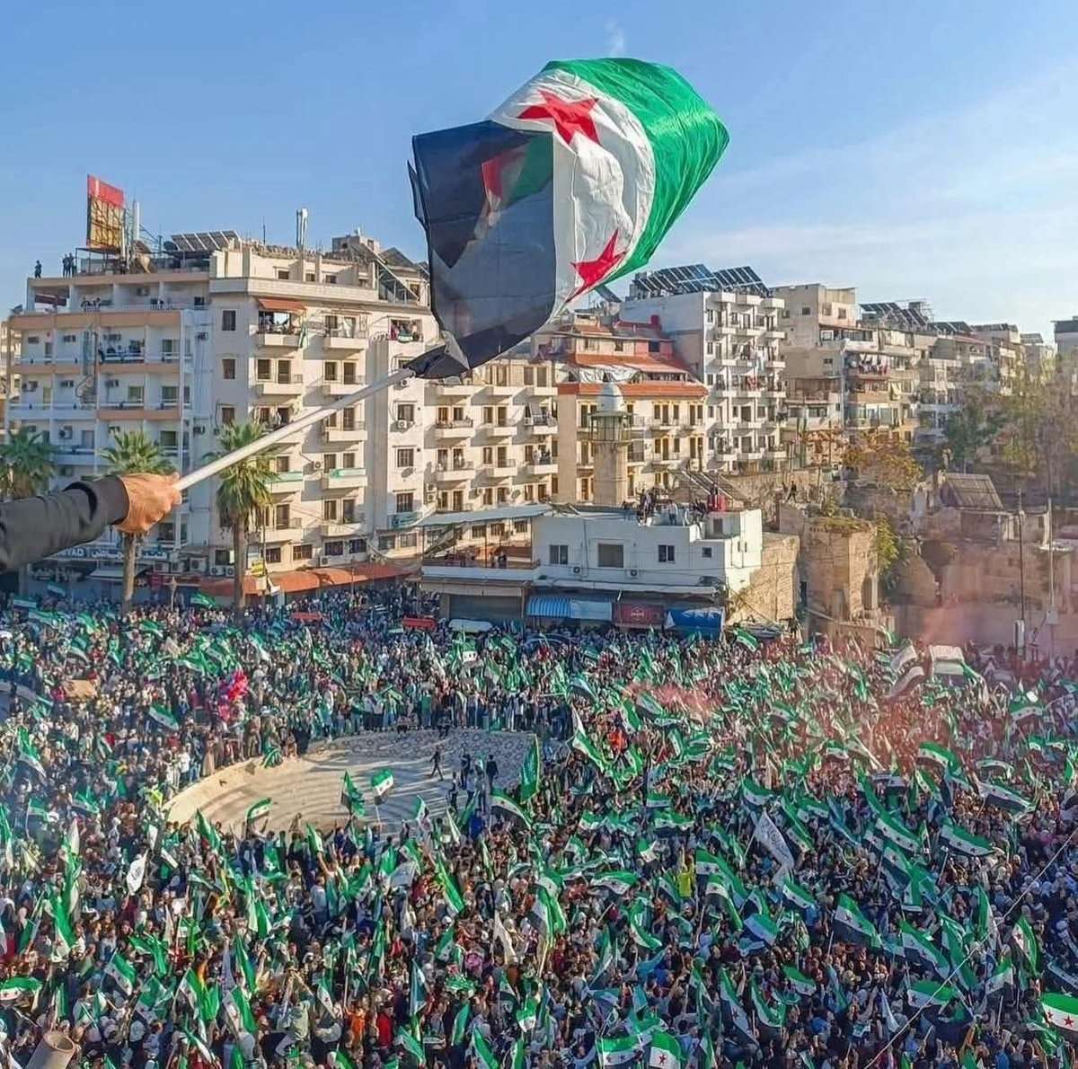 Tariq ⓯ tweet media