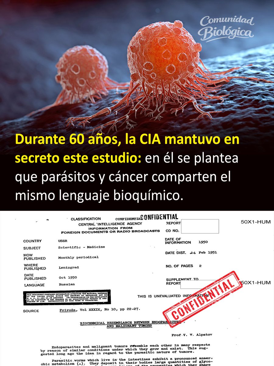 En 1951, la inteligencia estadounidense tradujo en secreto un detallado estudio médico que provenía de la Unión Soviética.

Luego, decidieron clasificarlo como confidencial para vigilar muy de cerca cualquier avance científico o médico de sus rivales soviéticos.

El texto