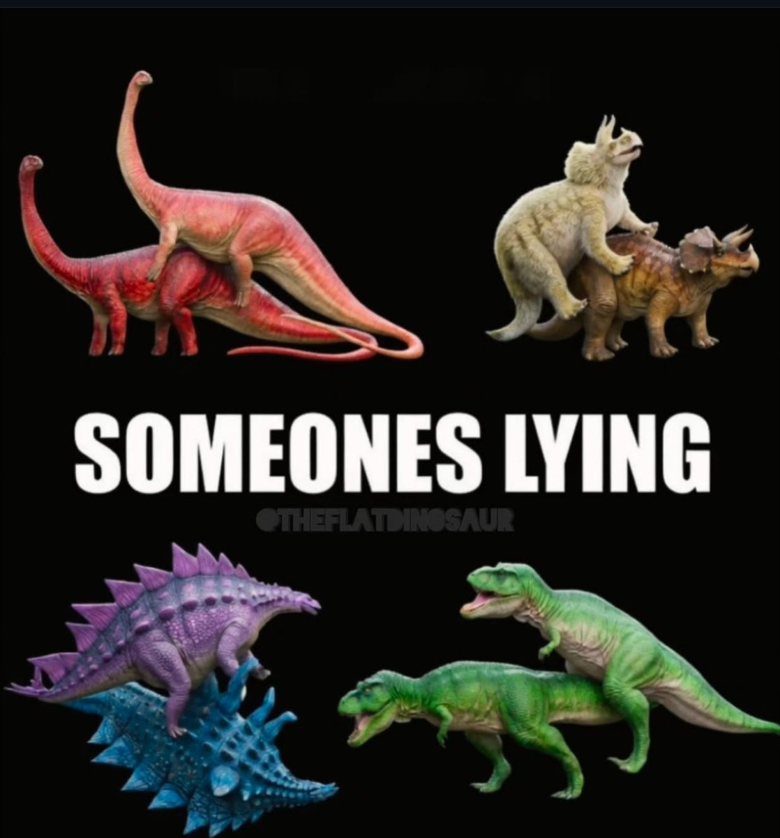 LittleTerfyBirdie tweet media