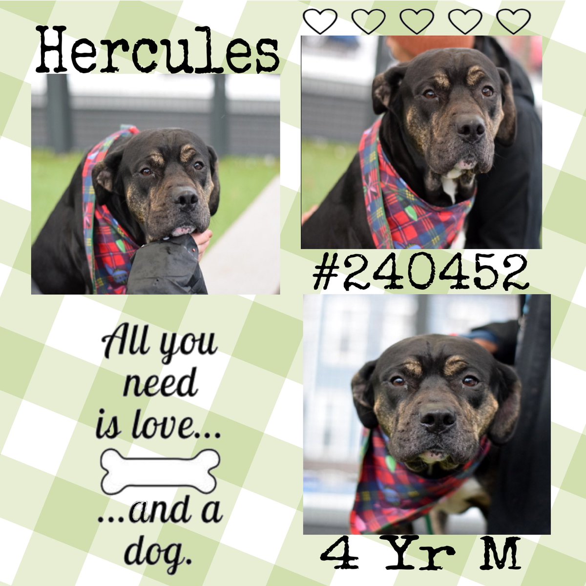 Quinn 💛(G.Quinn Rogers) tweet media