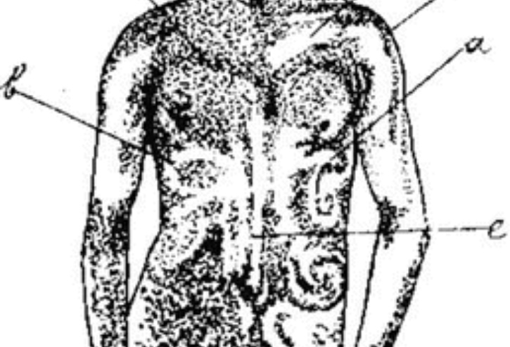 LILIES FREDERICK 4 ALU tweet media