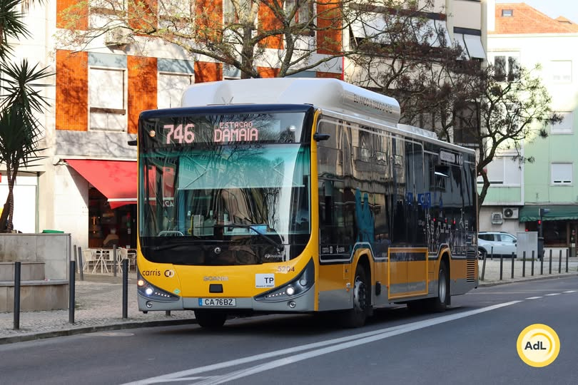 Tomás Ribeiro tweet media