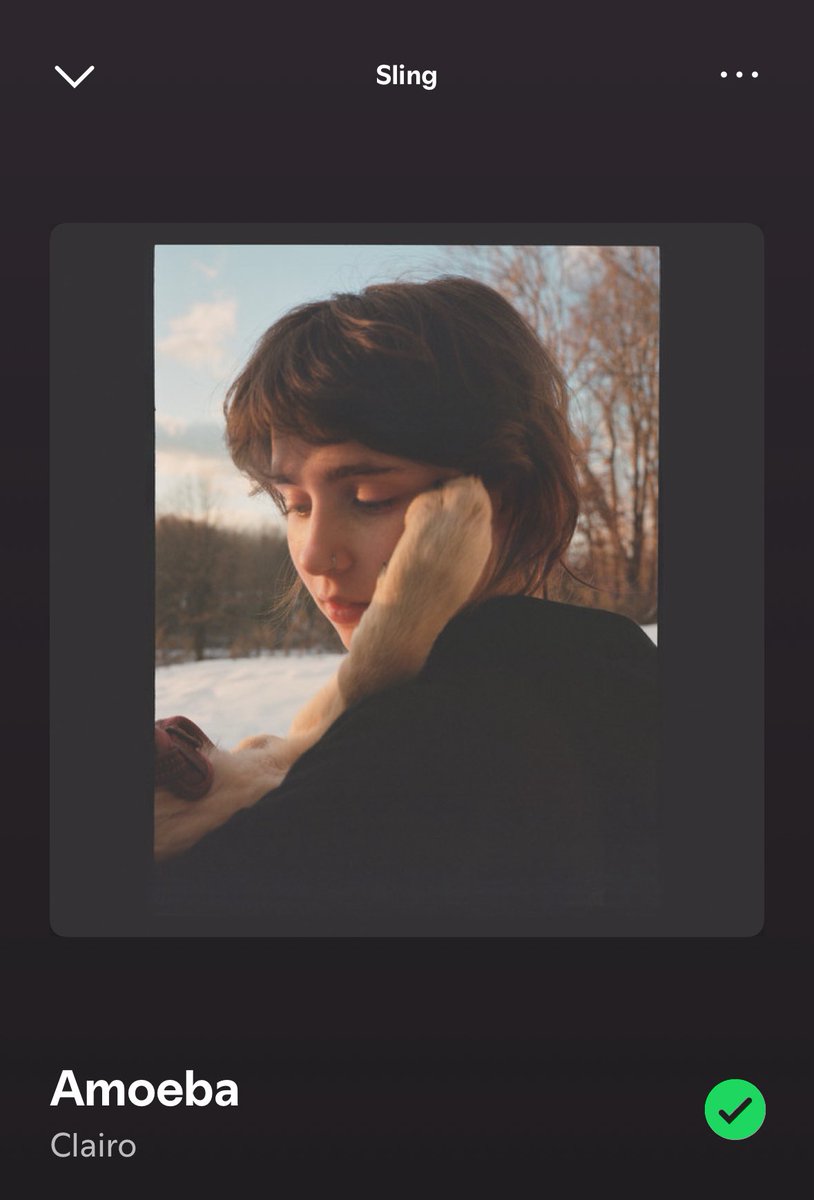 vans 🛹 tweet media