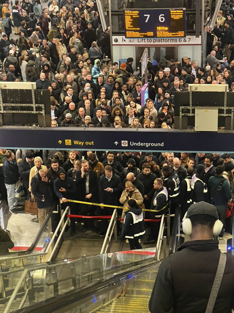 Michelle Tobin-Willis tweet media