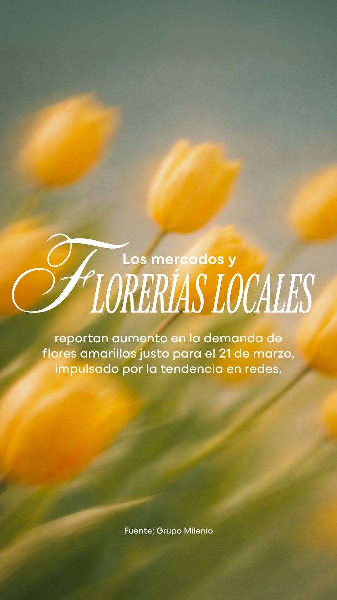 Banco Plata tweet media