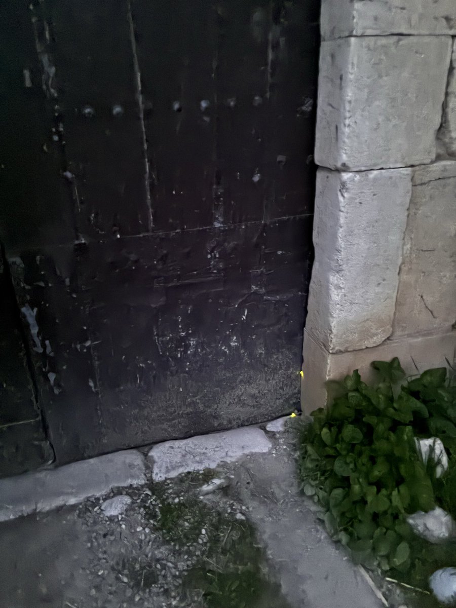 Òscar Vergés tweet media