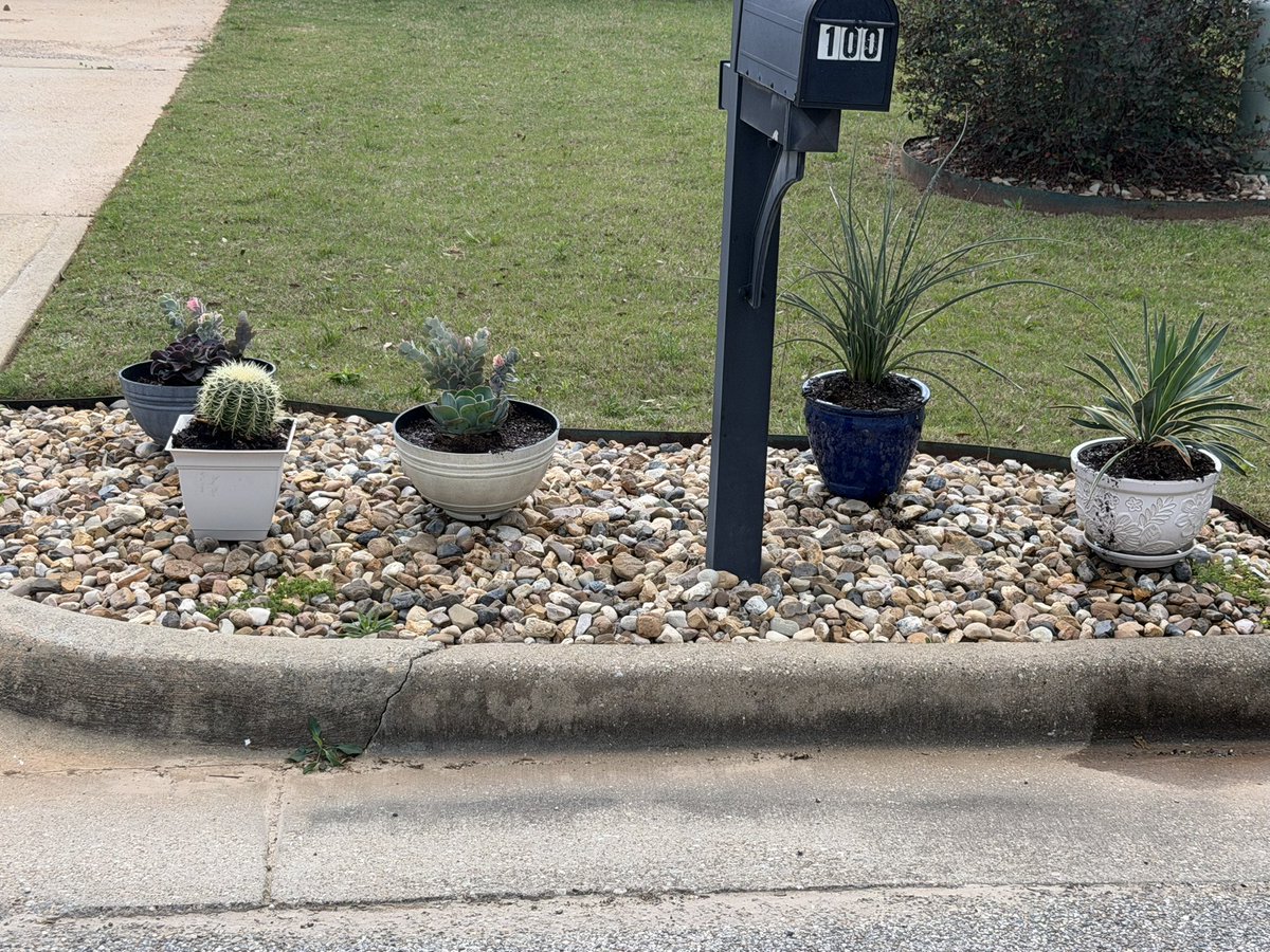 x-nena ¹⁴ ⁴⁶ ⁵³ ⁵⁵ ⁹¹ ⁹⁵ tweet media