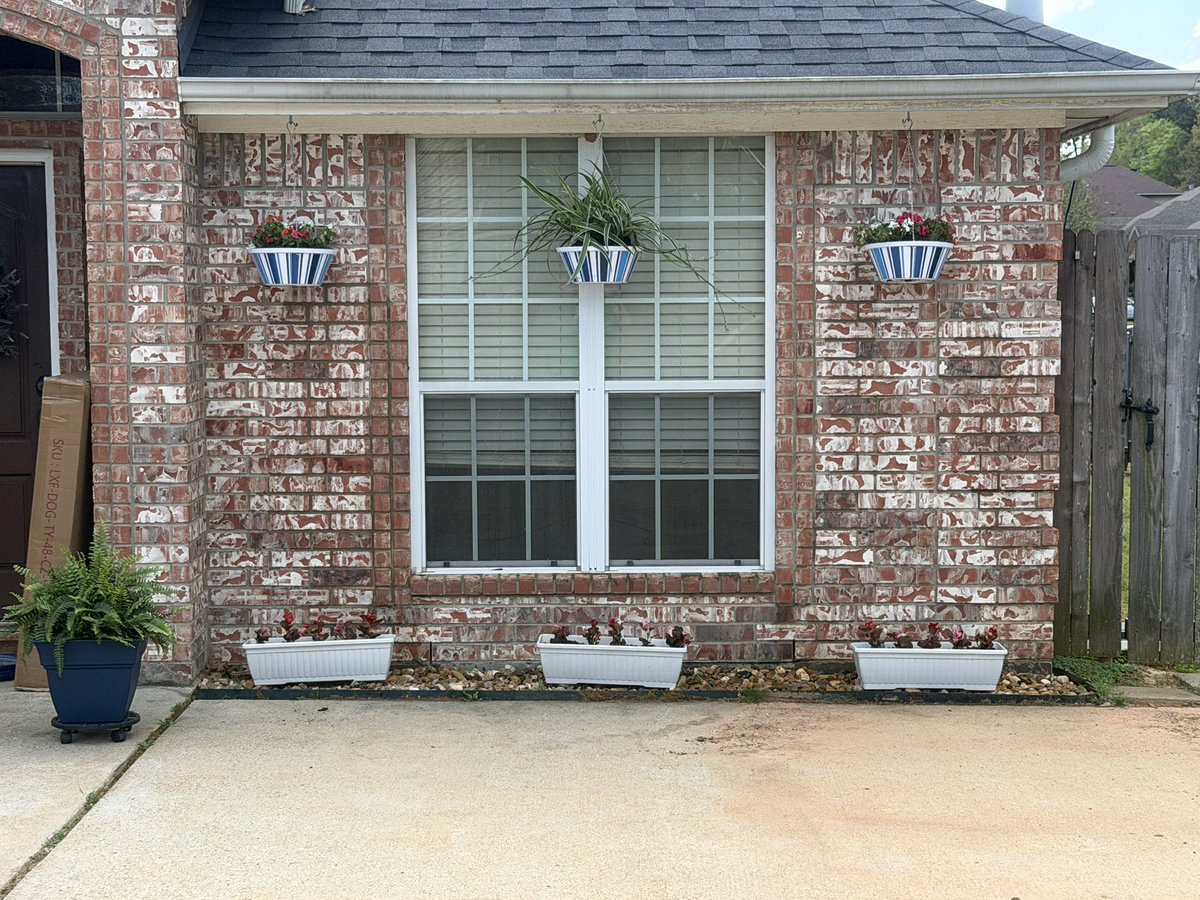 x-nena ¹⁴ ⁴⁶ ⁵³ ⁵⁵ ⁹¹ ⁹⁵ tweet media