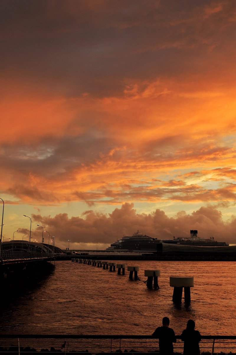 Peter D. Pearson tweet media