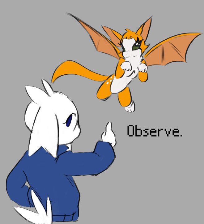 snailsenate.bsky.social tweet media