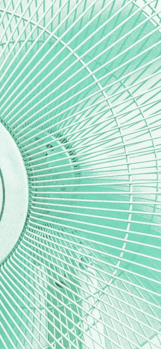 sophia twinkle tweet media