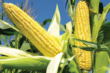 Keith McCullough tweet media