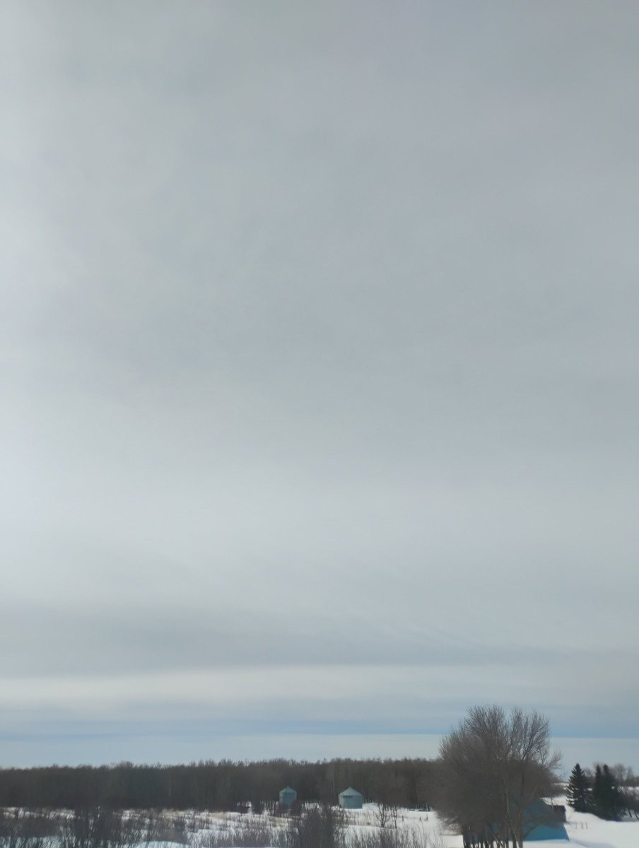 Valuarchy tweet media