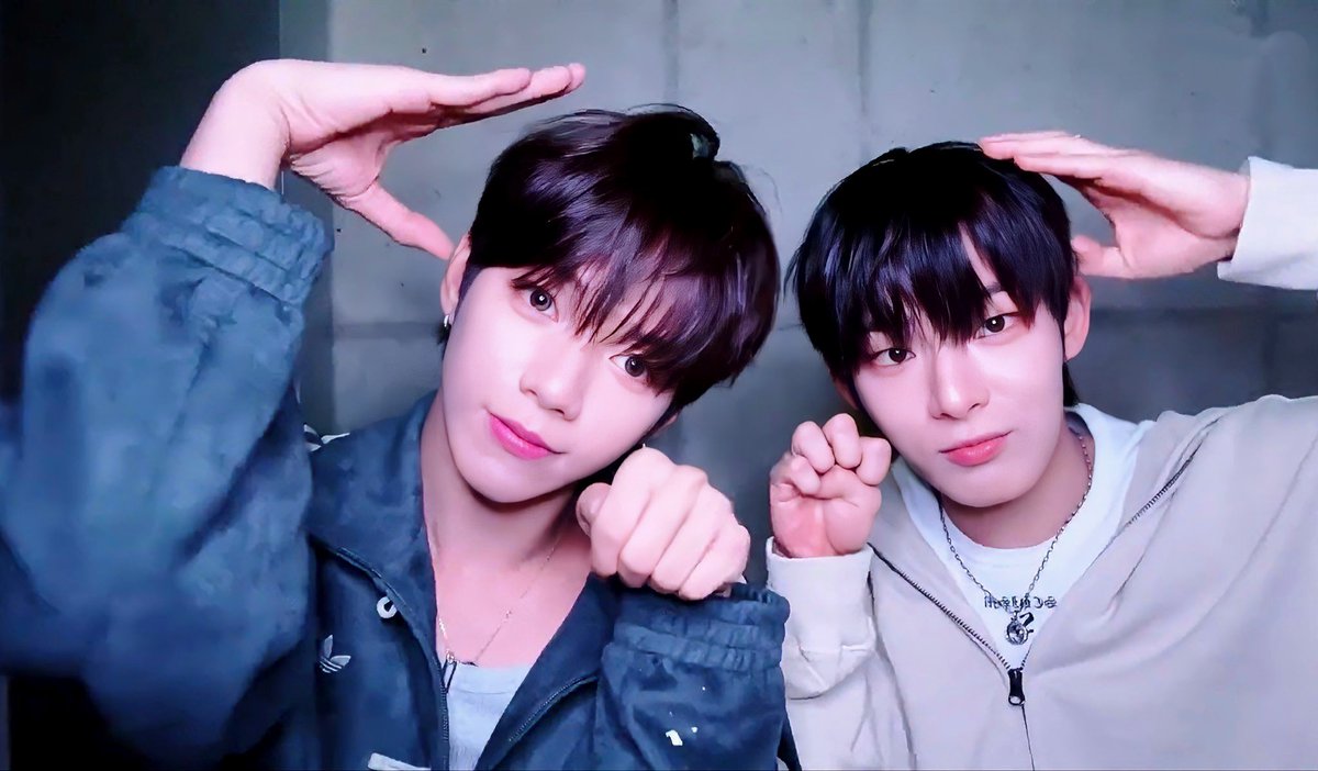 Honey💫(🦝🦊🍓) tweet media