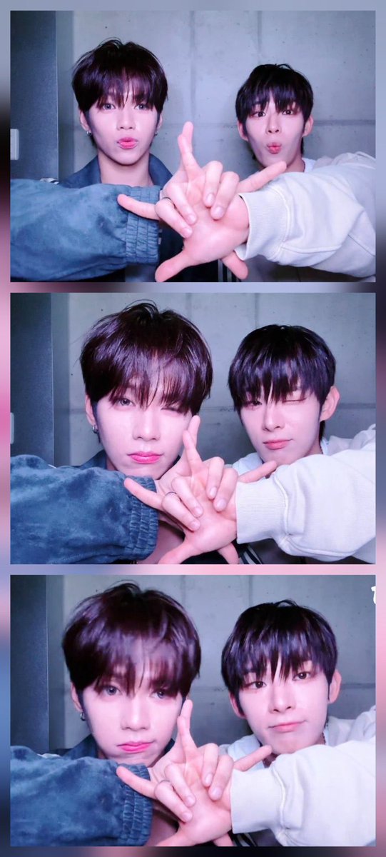 Honey💫(🦝🦊🍓) tweet media