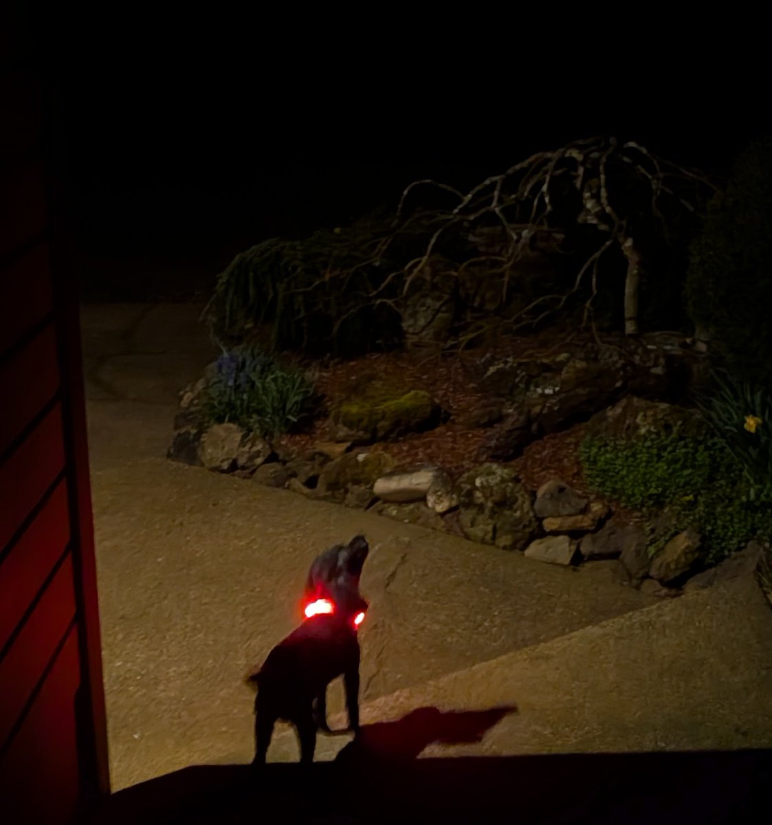 Hanz 𓅔 (I'm back) tweet media