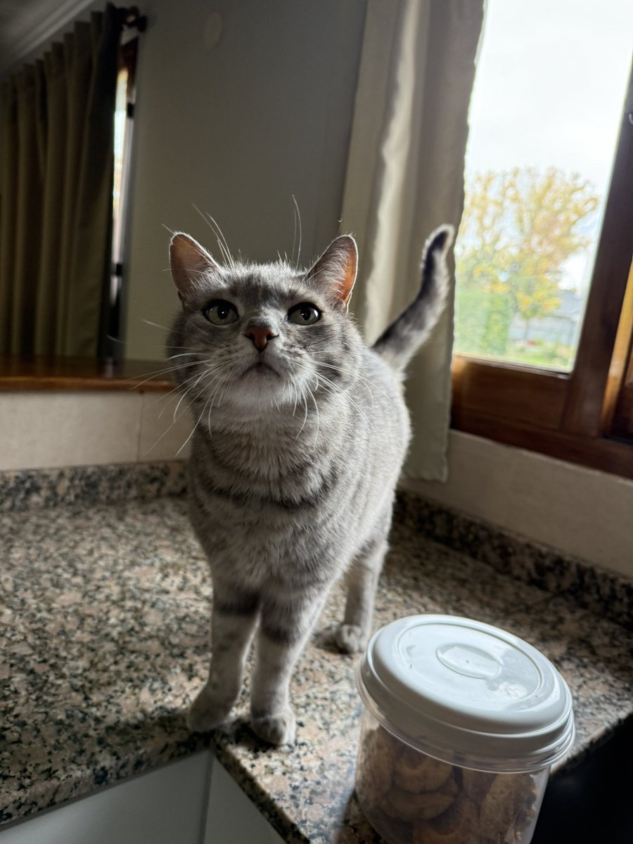 Tano Giuliani tweet media