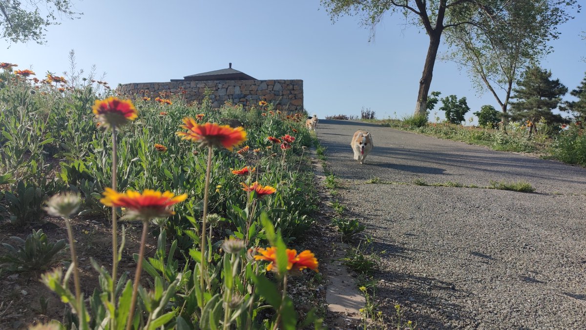 GoodTime tweet media