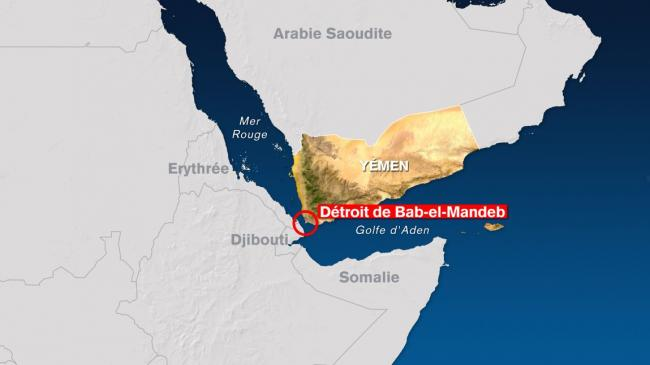 Little Think Tank tweet media