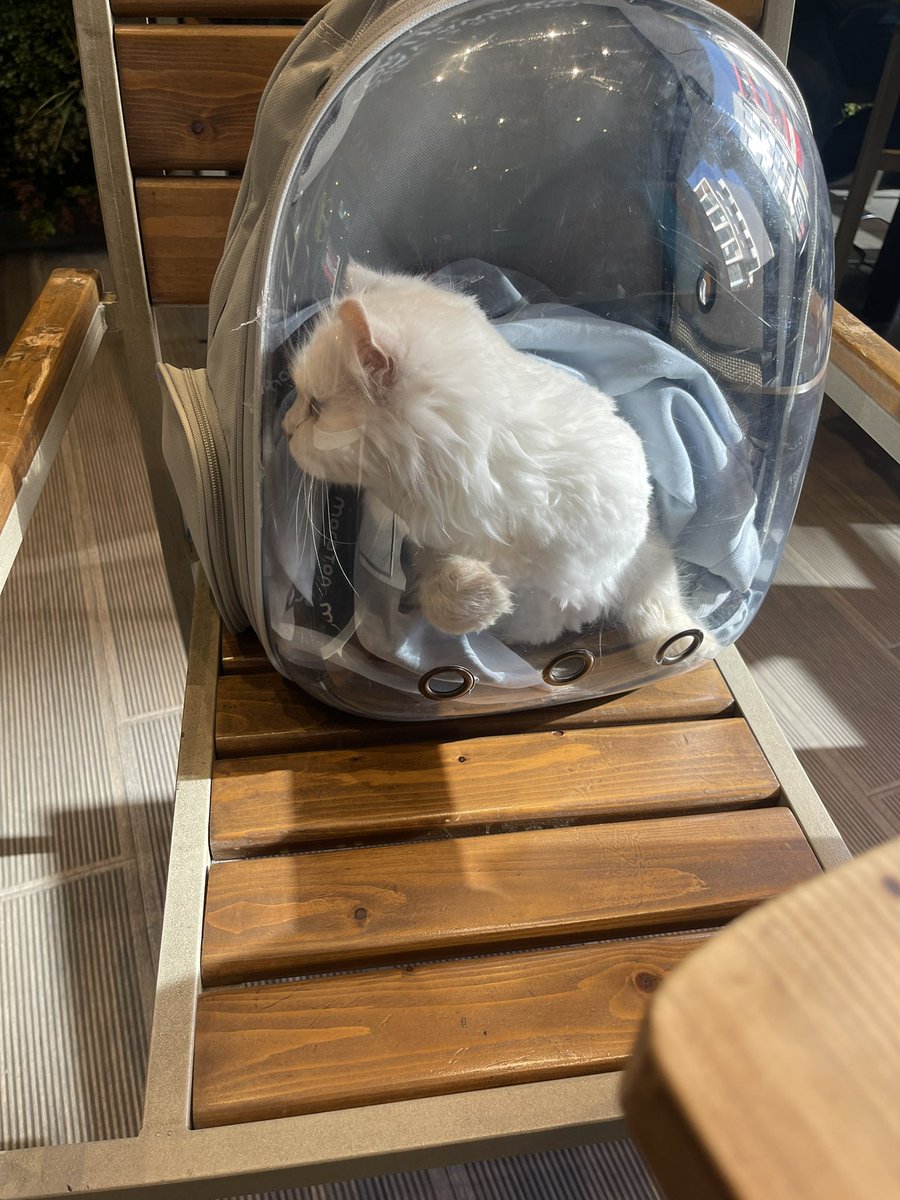 Miss Perfection 👑 tweet media