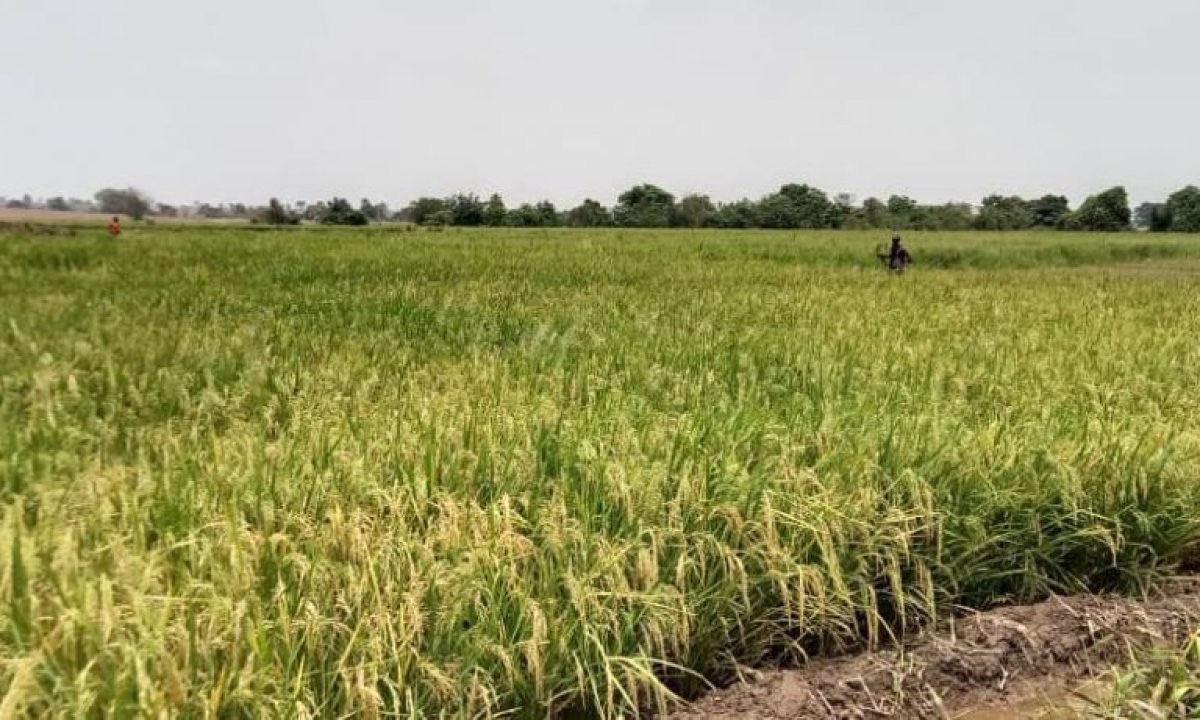 Abia Daily tweet media