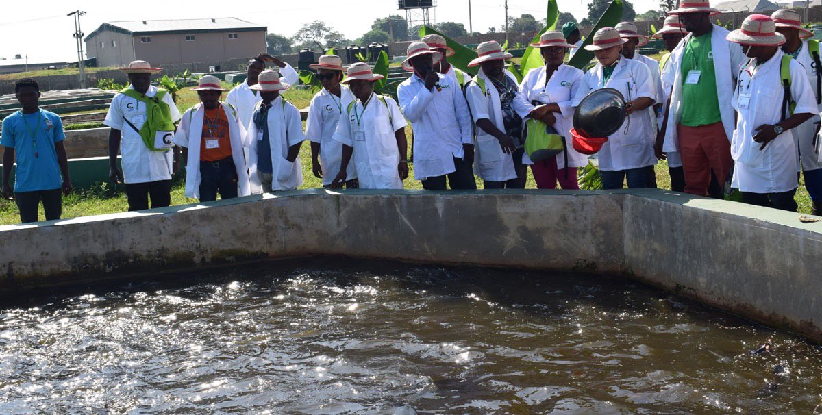 Abia Daily tweet media