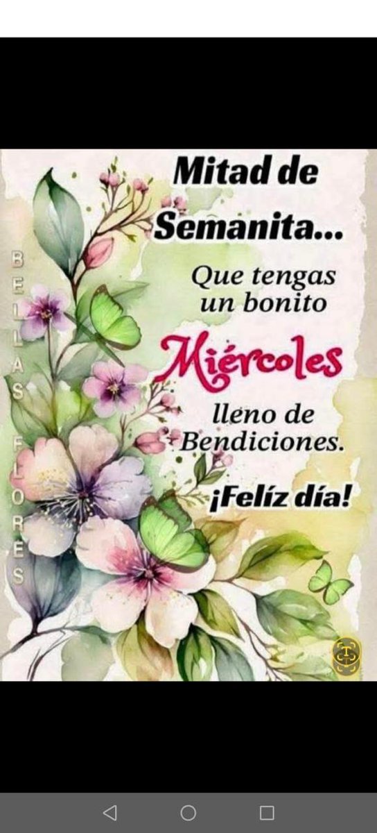 YovyML💞 tweet media