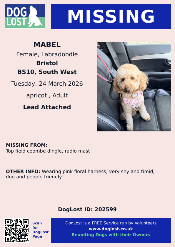 chris towers tweet media