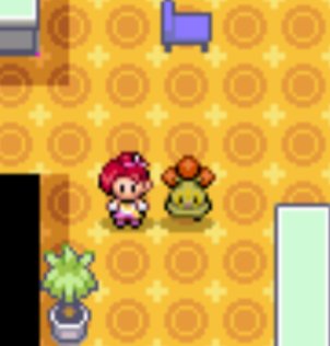 Miyo 🔔 Mindachi Agenda tweet media