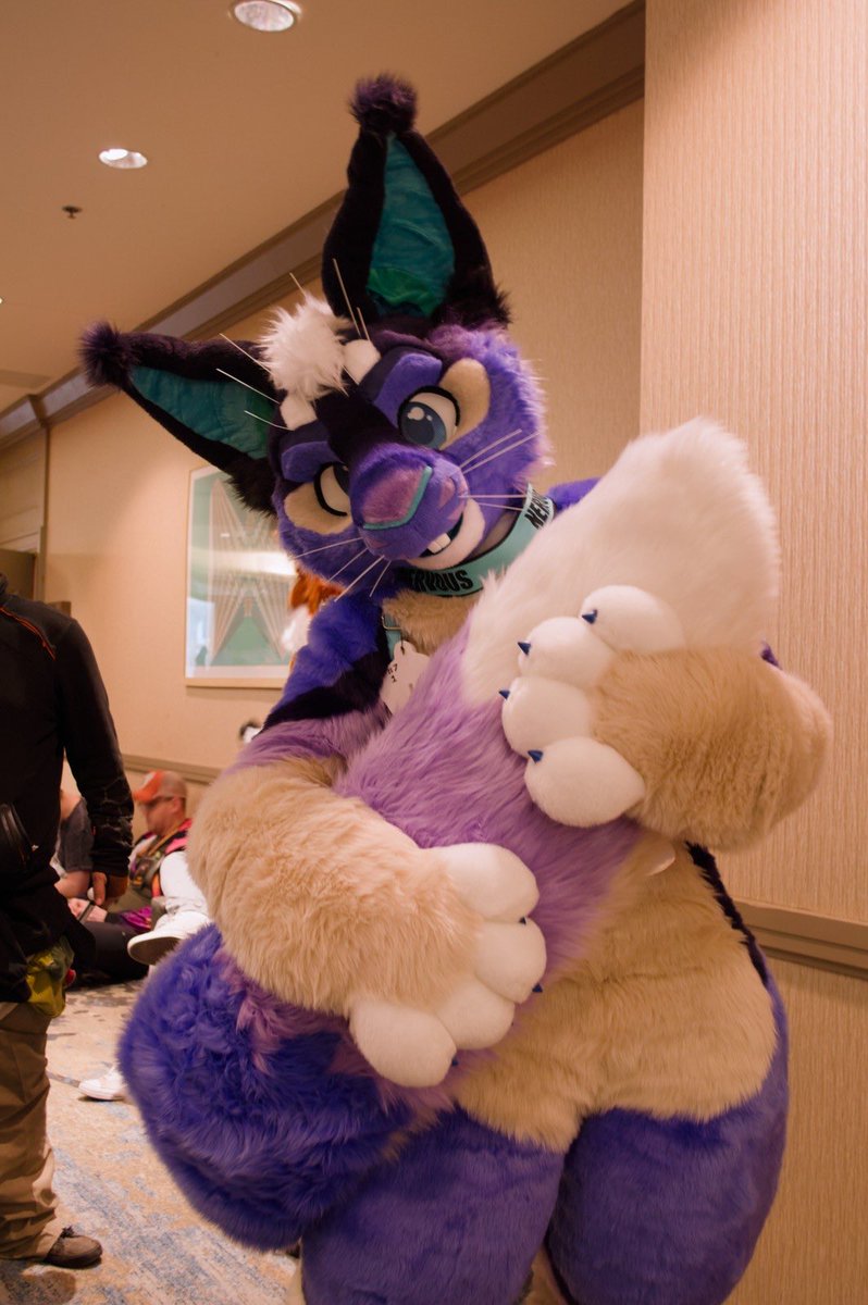 SquirrelCast 🔜 TFF tweet media