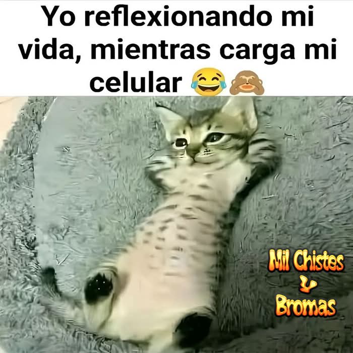 Manuel Alamilla tweet media