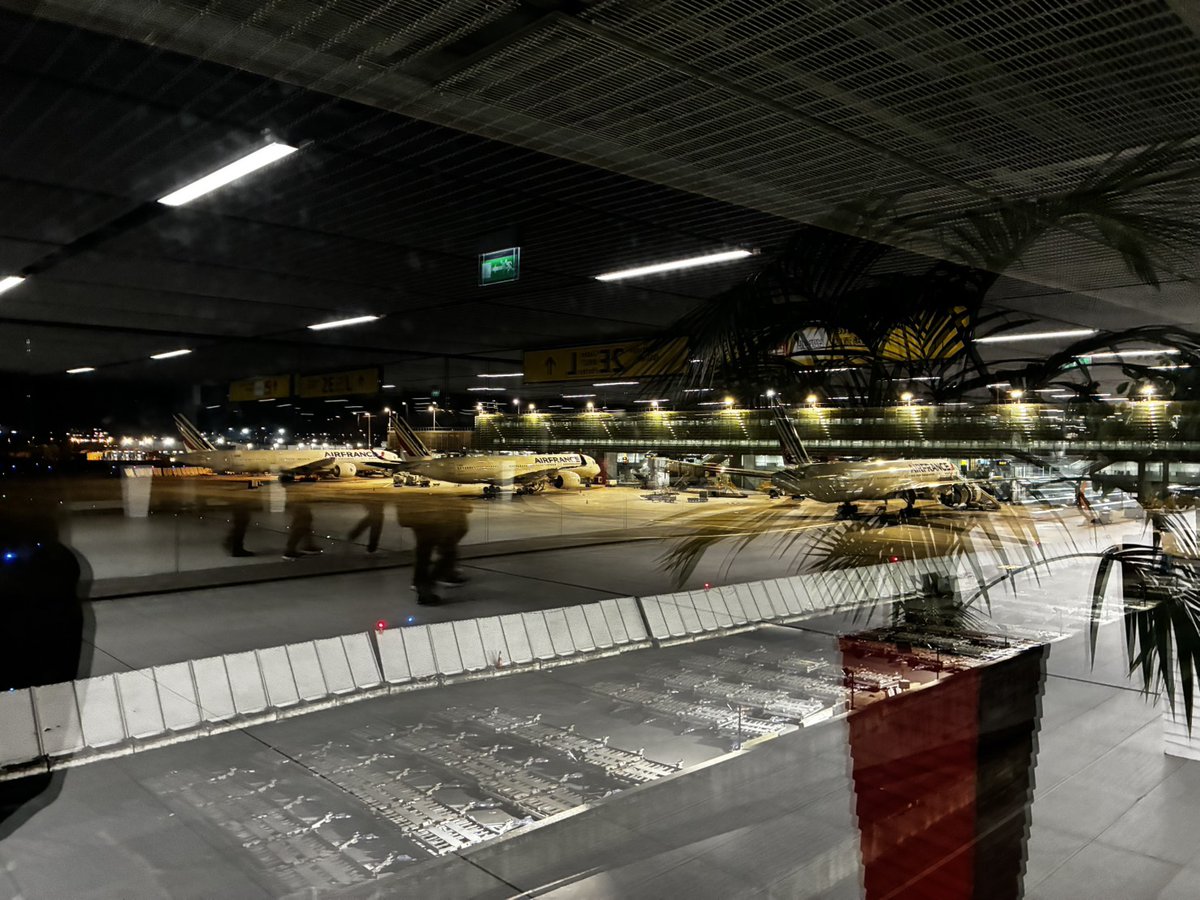 ココパテに会いに帰国します✈️