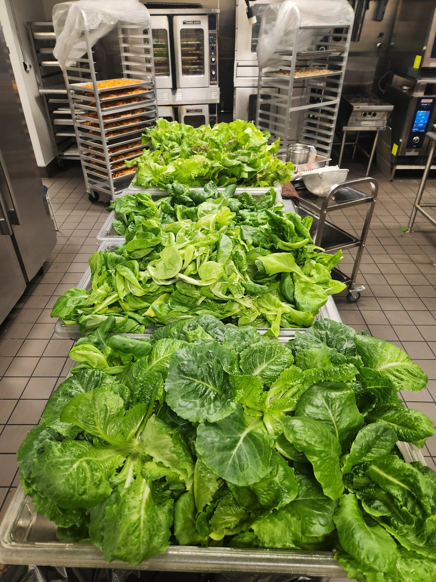 Mrs Jones tweet media