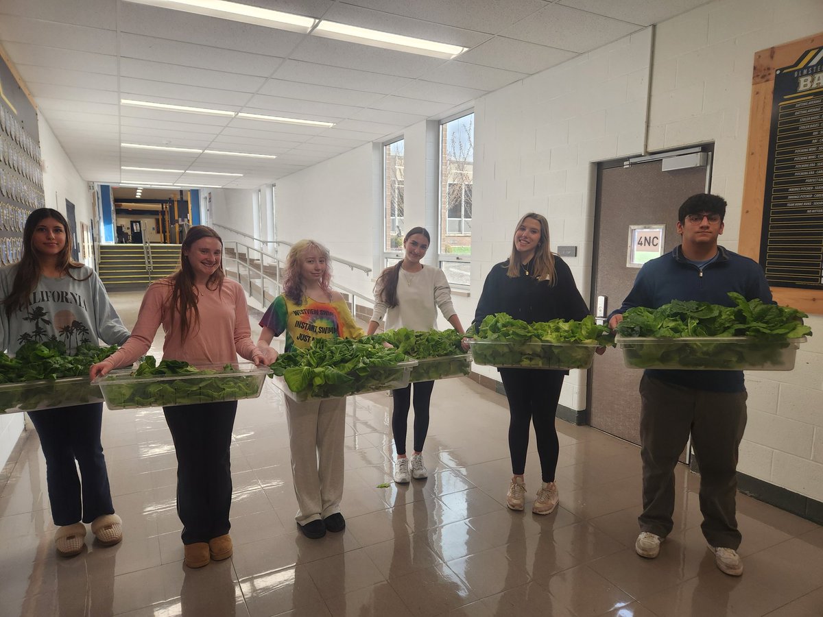 Mrs Jones tweet media